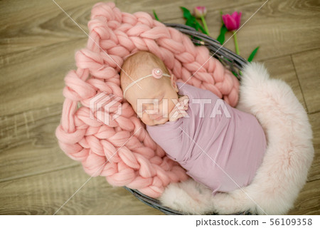 newborn baby girl in pink blanket in a basket 56109358