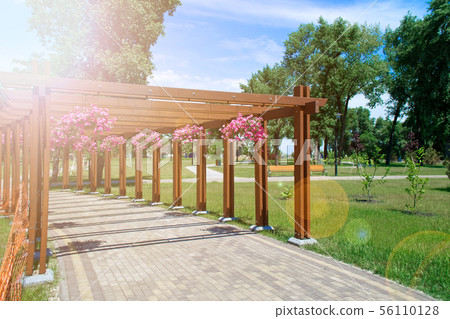 Tunnel of wooden pillars and pots of flowers 56110128
