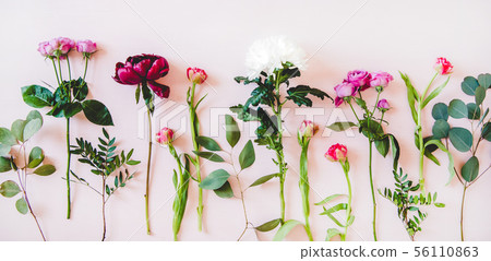 Flat-lay of purple peonies, pink roses, tulips 56110863