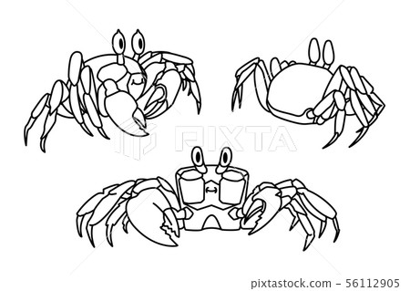 vector cartoon animal clip art 56112905