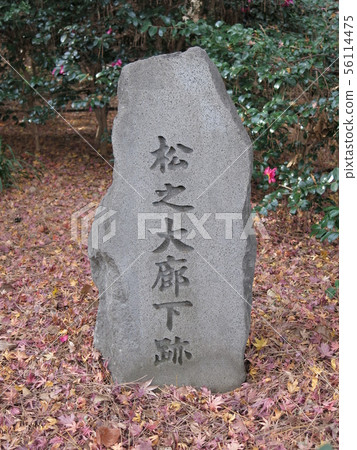 江戶城堡松樹走廊廢墟在故宮東部庭院的 江戶城堡松樹走廊廢墟在故宮東部庭院的 56114475