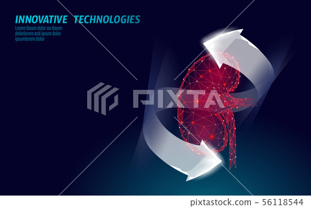 Healthy kidney internal organ 3d low poly geometric model. Urology system medicine disease treatment Healthy kidney internal organ 3d low poly geometric model. Urology system medicine disease treatment 56118544