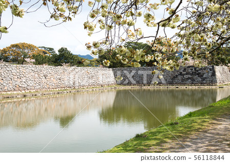 石牆和歷史遺址的護城河 石牆和歷史遺址的護城河 56118844