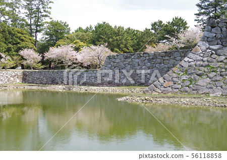 石牆和歷史遺址的護城河 56118858