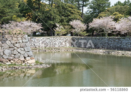 石牆和歷史遺址的護城河 石牆和歷史遺址的護城河 56118860