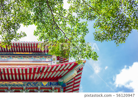 Chinese style temple roof with green day nature Chinese style temple roof with green day nature 56120947