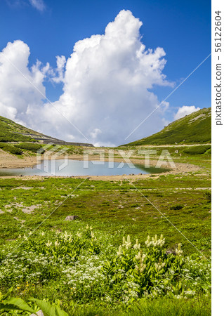 Mt. Norikura Tsurugaike 56122604