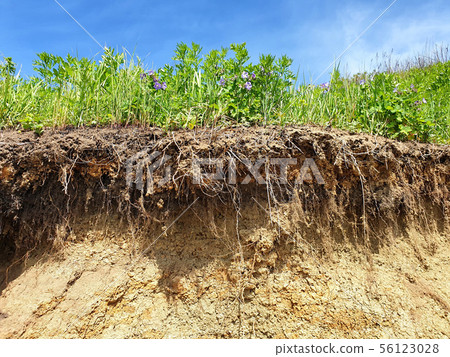 Soil cut due to landslide 56123028
