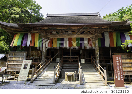 Takerinji，主要的大廳，四國公墓三十一號廣告局，高知縣高知縣 56123110