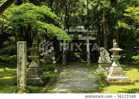Tocoinji Hiyoshi Shrine Shikoku Cemetery No. 30 Ichibansho Kochi City,Kochi Prefecture Tocoinji Hiyoshi Shrine Shikoku Cemetery No. 30 Ichibansho Kochi City,Kochi Prefecture 56123148