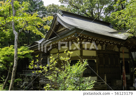 Takerinji Funaoka-do Shikoku墓地高知縣高知市三十一號廣場 56123179