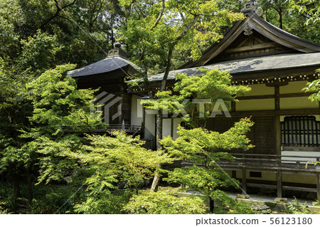 Takerinji Funaoka-do Shikoku cemetery thirty first bill office Kochi City, Kochi Prefecture 56123180