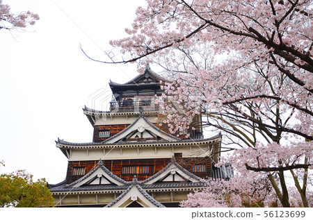Cherry blossoms that color the castle Cherry blossoms that color the castle 56123699