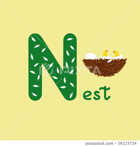 English alphabet for children education, letter N 56123724