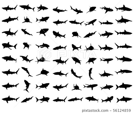 Black shark silhouettes on the white background Black shark silhouettes on the white background 56124859