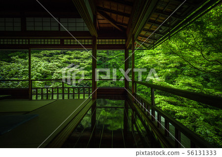 京都府Shoko-in，新鮮的綠色 56131333