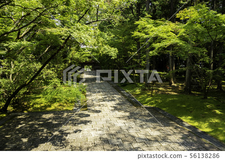 Takerinji precinct Shikoku cemetery thirty first bill place Kochi City, Kochi Prefecture Takerinji precinct Shikoku cemetery thirty first bill place Kochi City, Kochi Prefecture 56138286