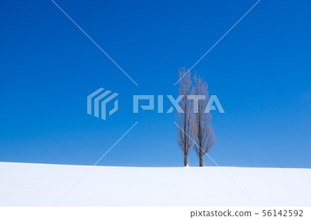Winter fairy tales Winter fairy tales 56142592