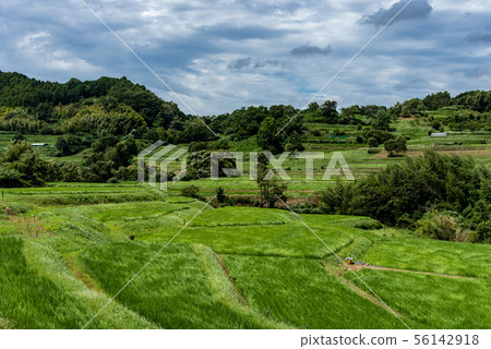 Inabuchi的水稻梯田 56142918