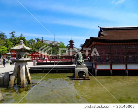 Itsukushima shrine in spring 56146805
