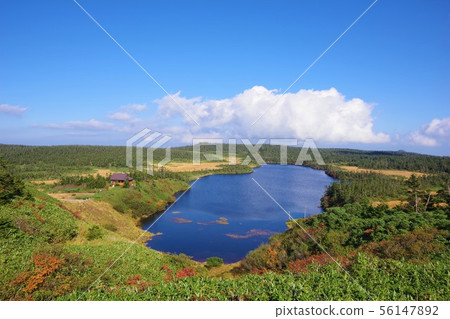 岩手縣八m平市八man沼 56147892