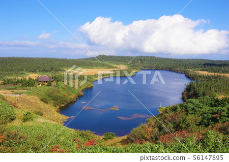 岩手縣八m平市八man沼 56147895