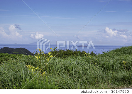 (Shizuoka Prefecture) Yuusuge and Izu Islands (Shizuoka Prefecture) Yuusuge and Izu Islands 56147930