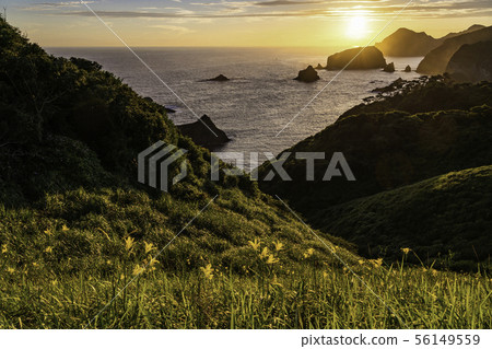 (Shizuoka Prefecture) Sunset of Oku Irozaki, where Yuusuge blooms (Shizuoka Prefecture) Sunset of Oku Irozaki, where Yuusuge blooms 56149559