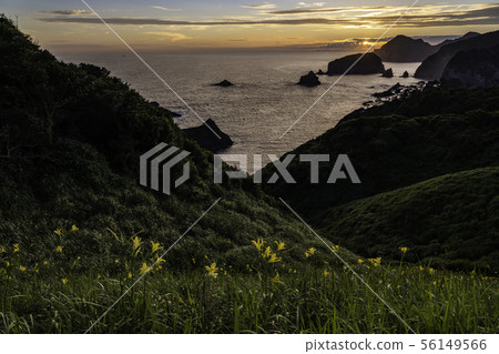 （靜岡縣）Yuu Irozaki的日落，Yuusuge在那裡綻放 56149566