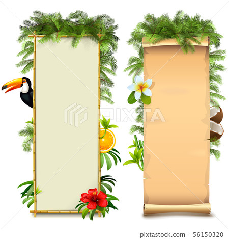 Vector Tropical Boards Vector Tropical Boards 56150320