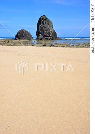 <奄美大島> Kasari-cho Tsuchihama Setsuda Tategami 2 <奄美大島> Kasari-cho Tsuchihama Setsuda Tategami 2 56150567