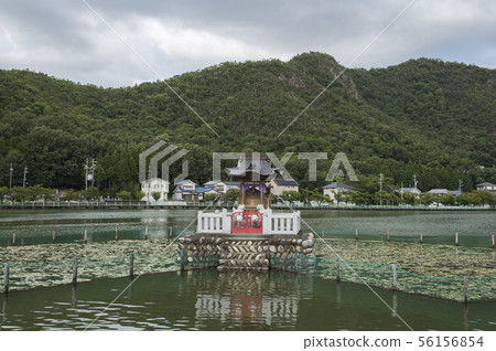 [Kakamigahara City, Gifu Prefecture] Chigase Pond and Eight Great Ryuo Hall 56156854