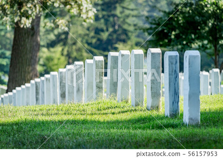 Grave stones in Arlington cemetery. 56157953
