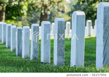 Grave stones in Arlington cemetery. Grave stones in Arlington cemetery. 56157956