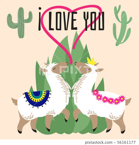 Cute cartoon alpaca in love - mexican lama card Cute cartoon alpaca in love - mexican lama card 56161177