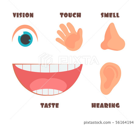 Human senses cartoon vector icons with eye, nose, ear, hand, and mouth symbols Human senses cartoon vector icons with eye, nose, ear, hand, and mouth symbols 56164194