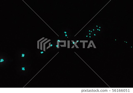 Luminous paint balloon 56166051