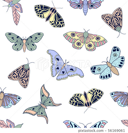 butterflies and moths - Stock Illustration [56169061] - PIXTA