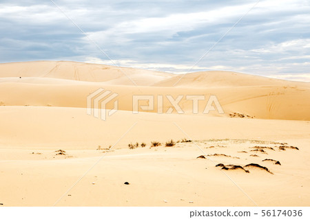 Sunrise at White sand dune, Mui Ne, Vietnam 56174036