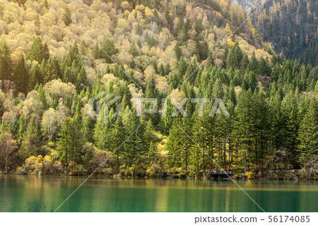 Swan Lake Jiuzhaijou national park, SiChuan, China 56174085