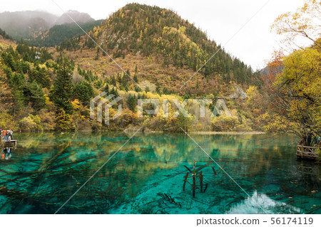 Five flower lake Jiuzhaijou national park, 56174119