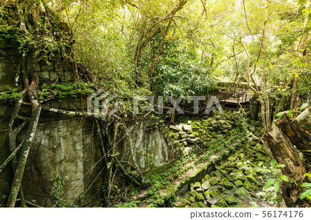 Beng Mealea, ancient temple ruins in the jungle, 56174176