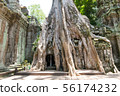 Roots of a spung on Prasat Ta Prohm Temple, siam 56174232