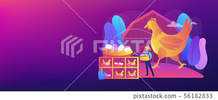 Free run chicken and eggs concept banner header. Free run chicken and eggs concept banner header. 56182833