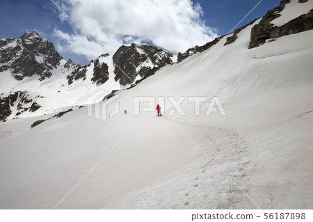 Hiker in snowshoes with dog in high snowy mountain 56187898