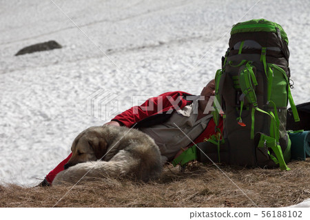 Hiker with big backpack and dog resting near snowy 56188102