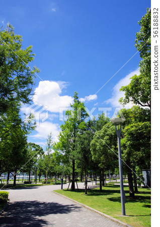 Promenade near Daiba Station and Aomi Station 56188832