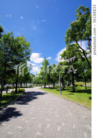 Promenade near Daiba Station and Aomi Station 56188833