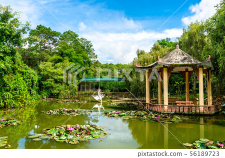 Lake at Cam Ly Waterfall in DaLat, Vietnam Lake at Cam Ly Waterfall in DaLat, Vietnam 56189723