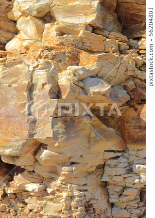 海岸岩石背景垂直的茶黃 56204801